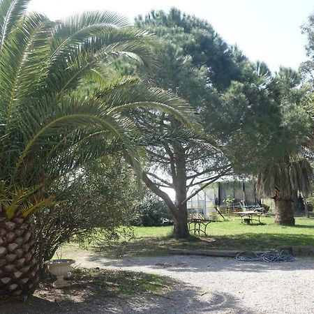הוילה Saint-Nazaire  Mas Du Roc מראה חיצוני תמונה