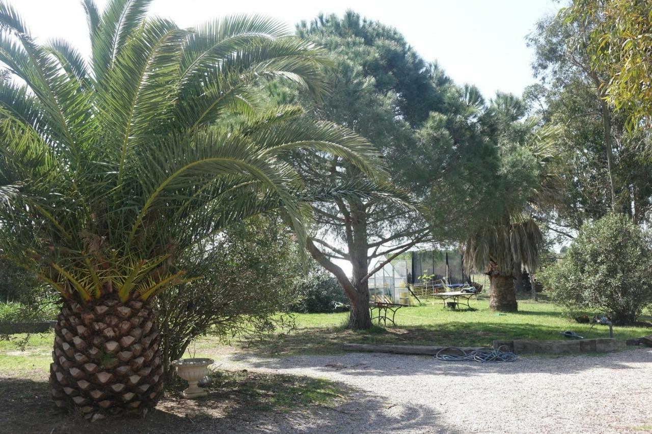 הוילה Saint-Nazaire  Mas Du Roc מראה חיצוני תמונה